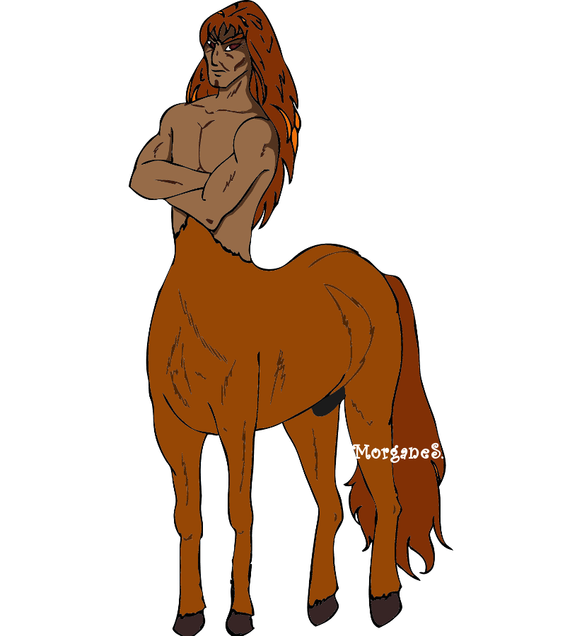 centaure-chrysan-900x823